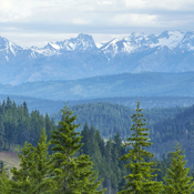 view of the mountains and trees